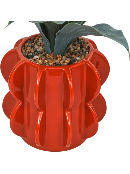 Plante artificielle h 28 cm homy - Kiabi