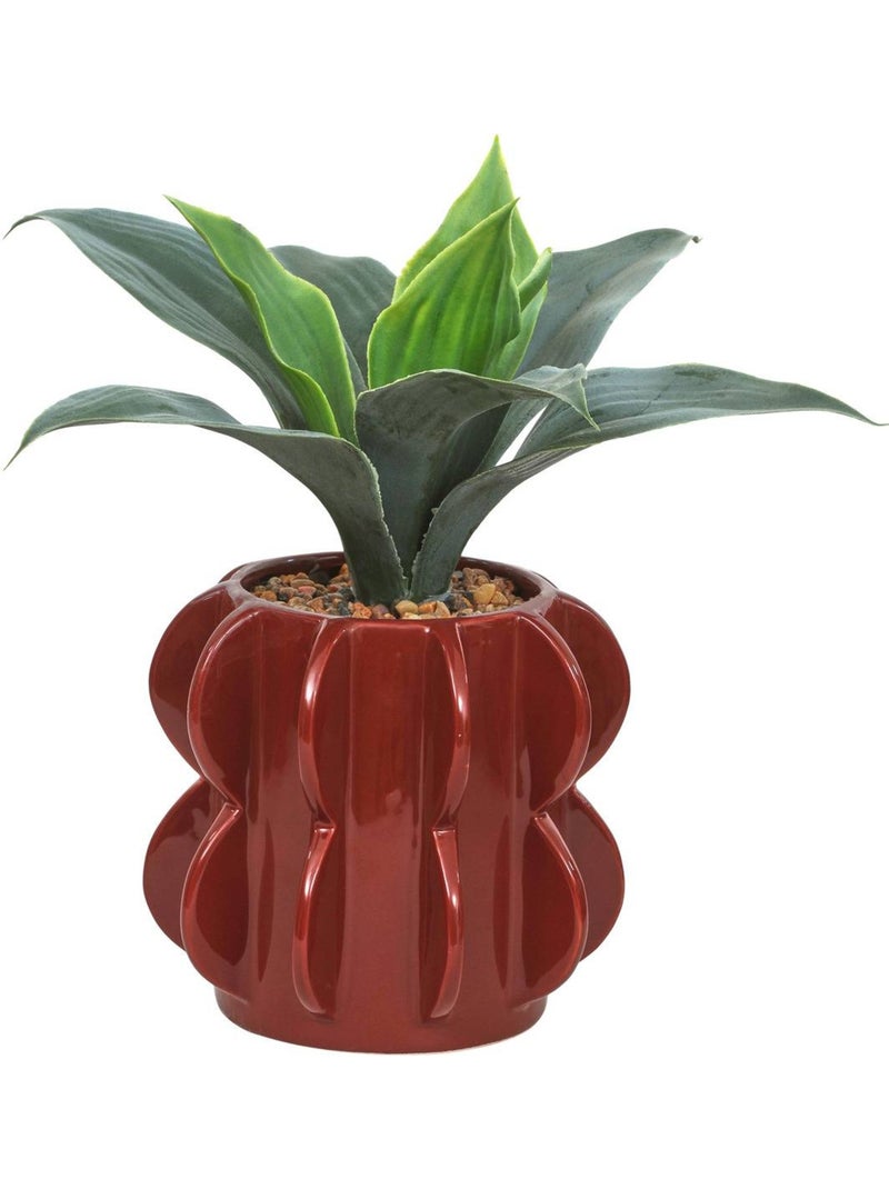 Plante artificielle h 28 cm homy Orange - Kiabi