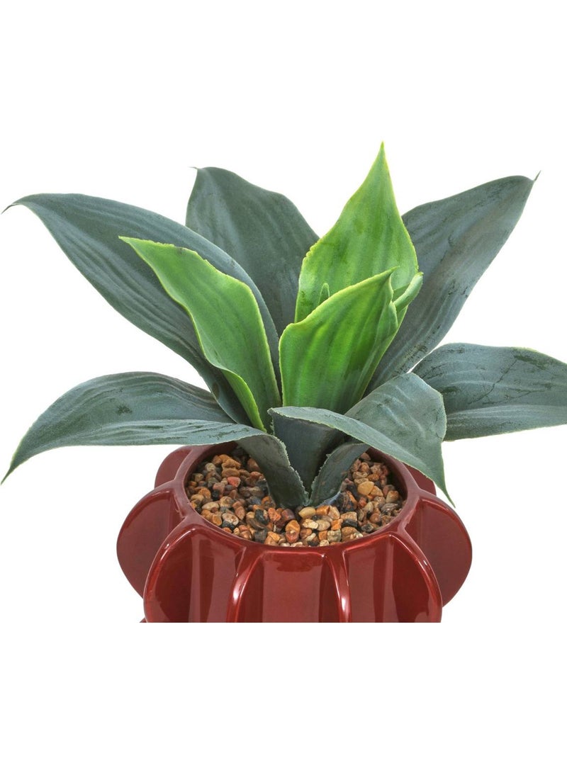 Plante artificielle h 28 cm homy Orange - Kiabi
