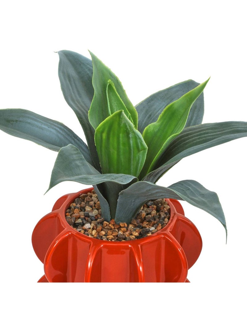 Plante artificielle h 28 cm homy Orange - Kiabi