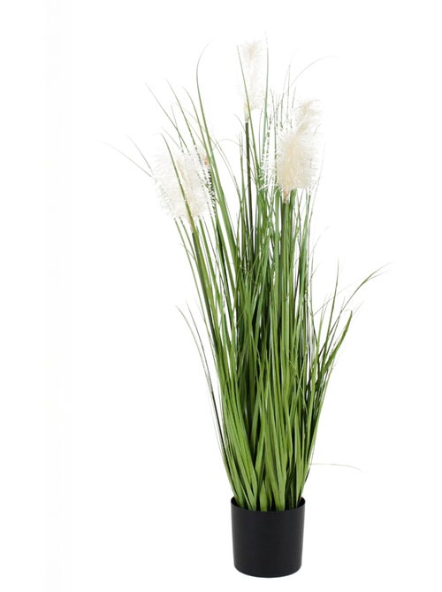 Plante artificielle Herbe de la pampa - AFIBEL - Kiabi