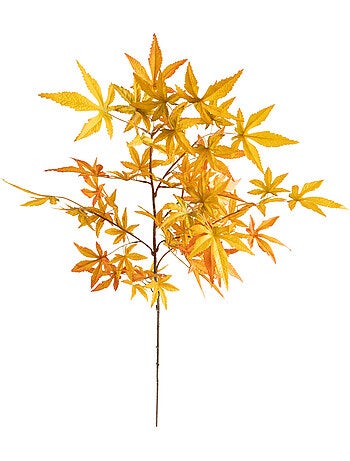 Plante artificielle JAMES