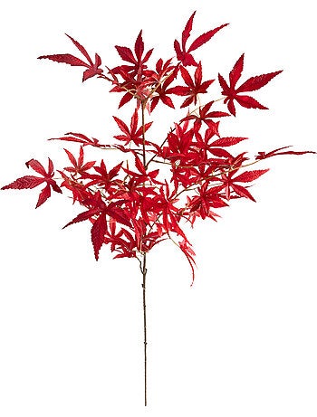 Plante artificielle JAMES