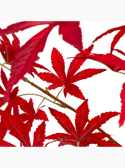 Plante artificielle JAMES - Kiabi