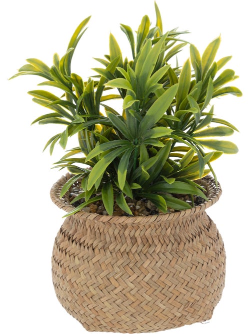 Plante artificielle JILING - Kiabi