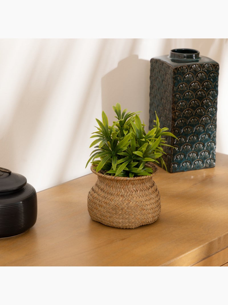 Plante artificielle JILING Beige - Kiabi
