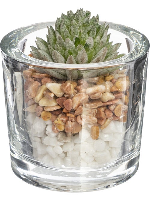 Plante artificielle KEIJI - Kiabi