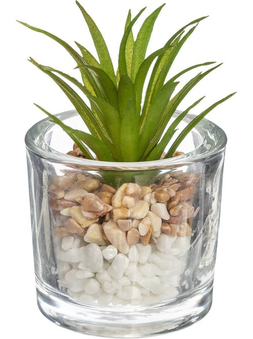 Plante artificielle KEIJI - Kiabi Plante artificielle KEIJI - Kiabi