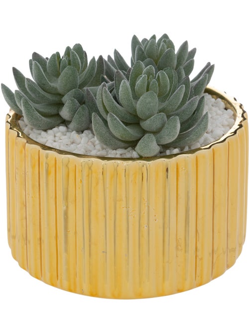 Plante artificielle LE COLLECTIONNEUR - Kiabi Plante artificielle LE COLLECTIONNEUR - Kiabi