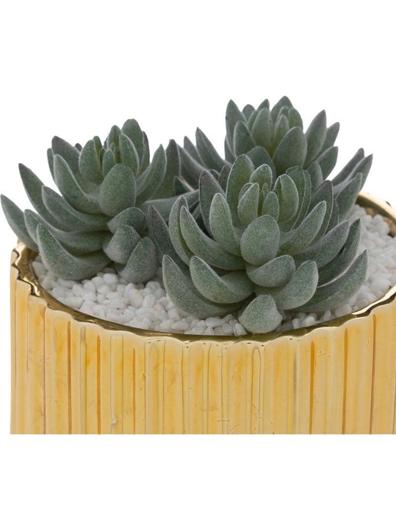 Plante artificielle LE COLLECTIONNEUR Doré - Kiabi