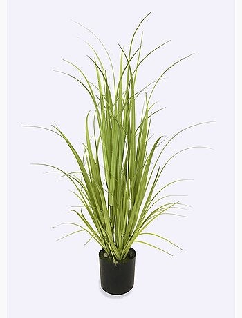 Plante artificielle Lemongrass + pot - AFIBEL