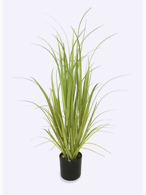 Plante artificielle Lemongrass + pot - Kiabi Plante artificielle Lemongrass + pot - Kiabi