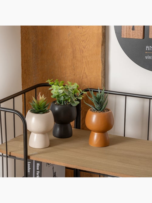Plante artificielle LIVY - Kiabi