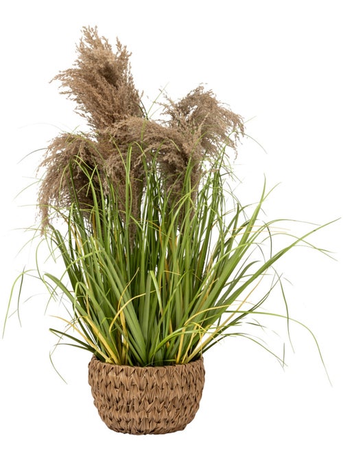 Plante artificielle MAXIME - Kiabi