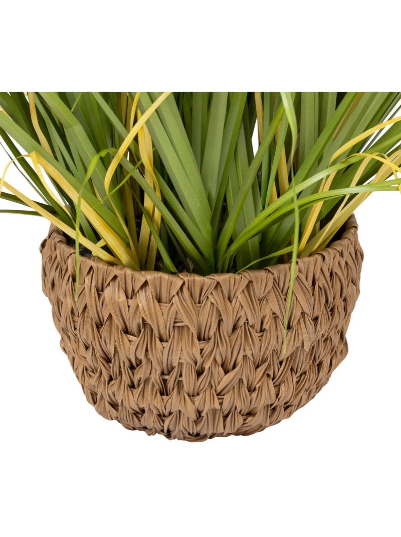 Plante artificielle MAXIME Multicolore - Kiabi