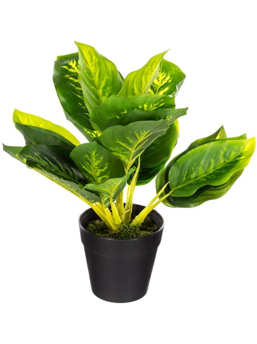 Plante artificielle MINO - Kiabi