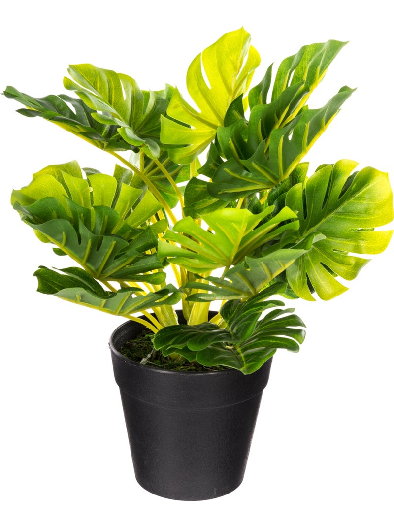 Plante artificielle MINO Blanc - Kiabi