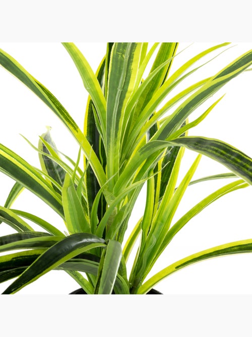 Plante artificielle MINO - Kiabi