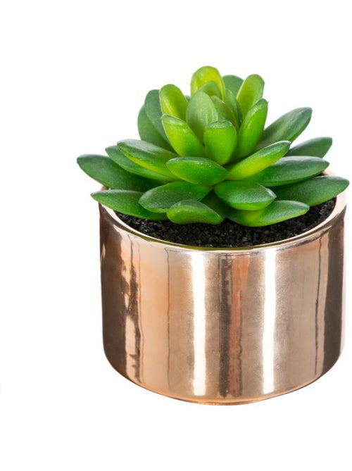 Plante artificielle MIO - Kiabi