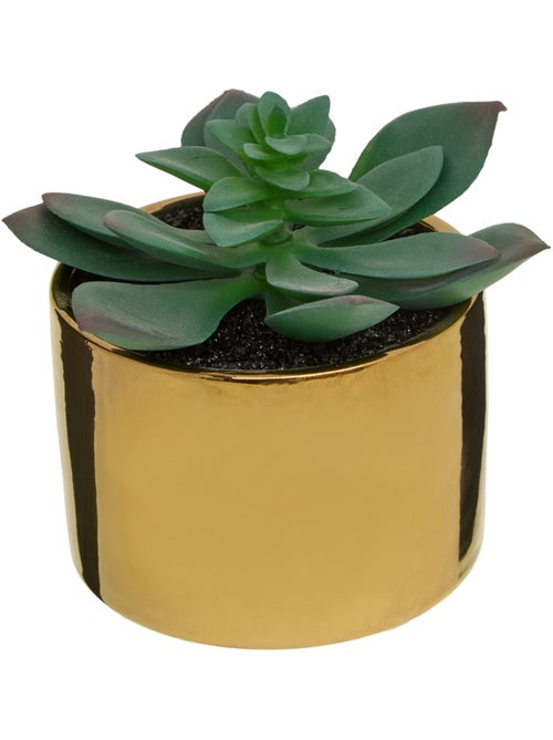 Plante artificielle MIO - Kiabi