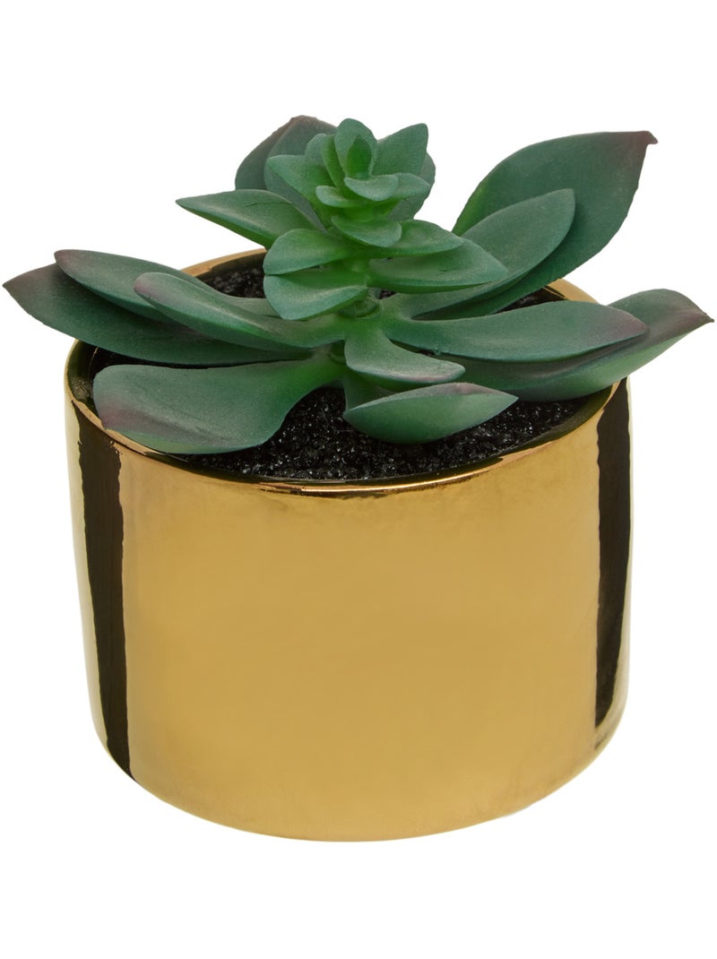 Plante artificielle MIO Blanc - Kiabi