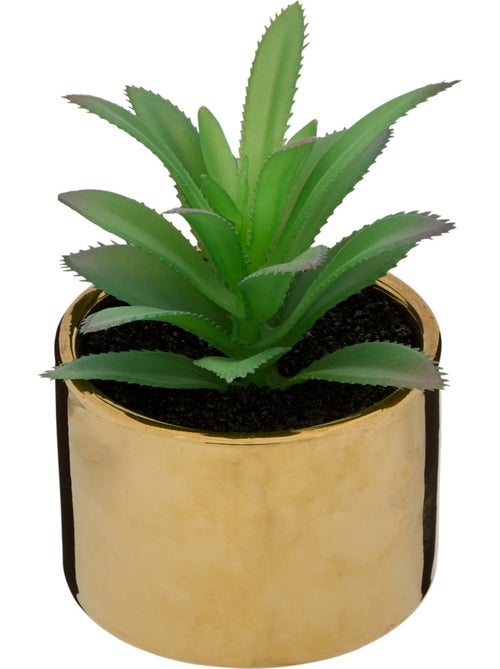 Plante artificielle MIO - Kiabi