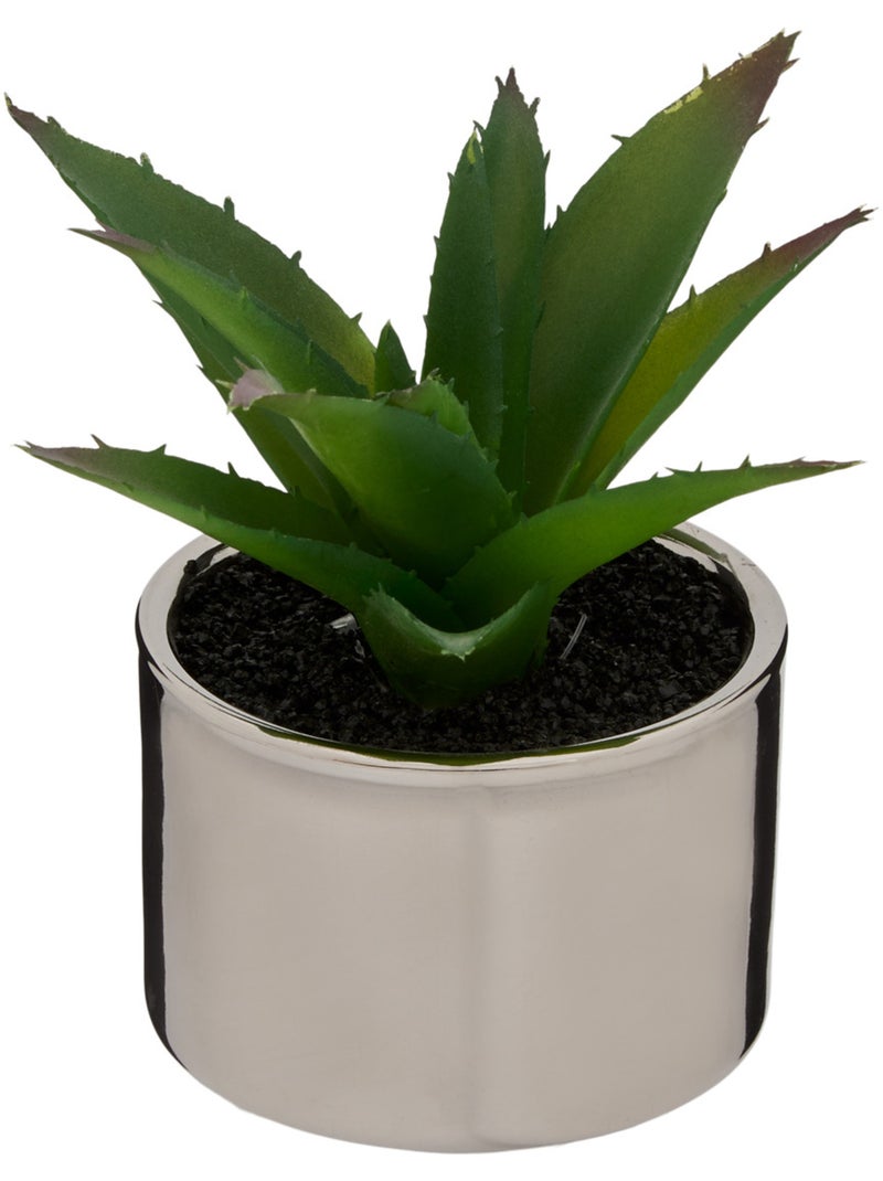 Plante artificielle MIO Blanc - Kiabi