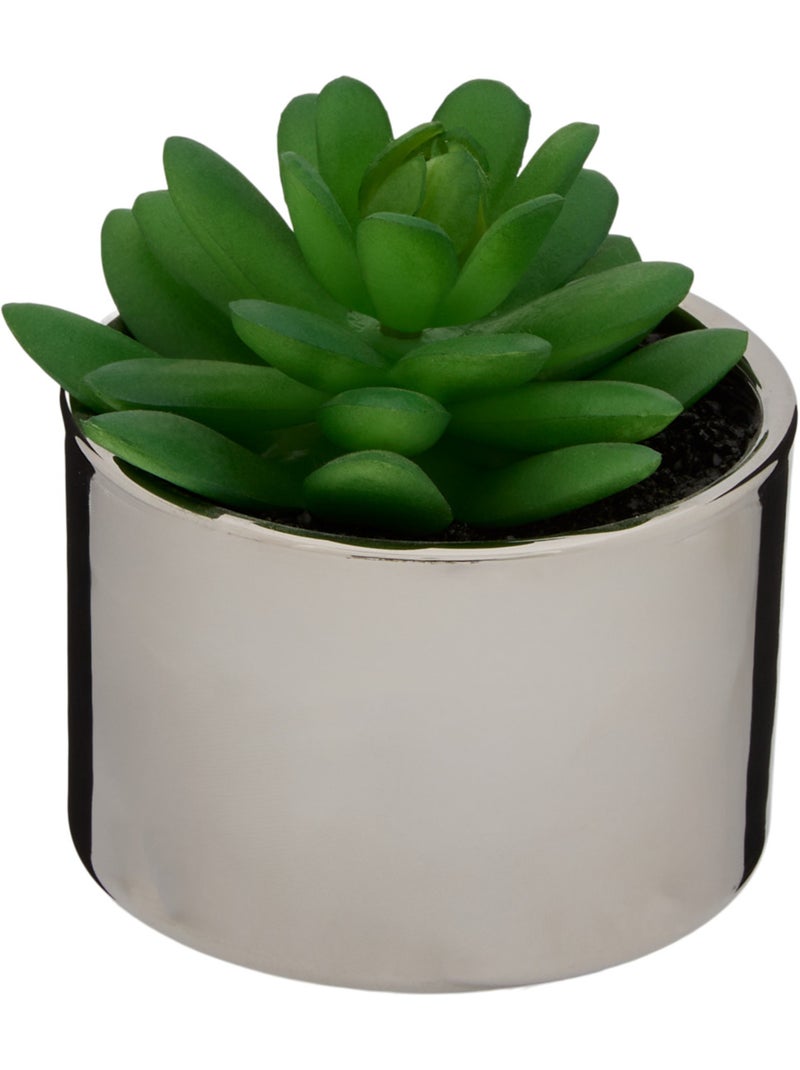Plante artificielle MIO Blanc - Kiabi