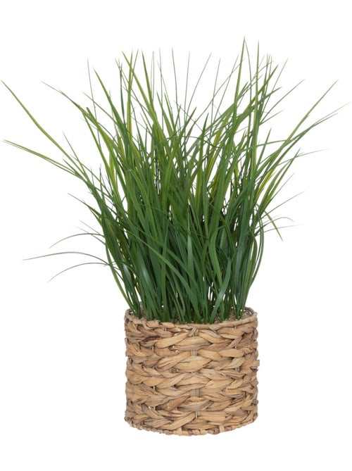 Plante artificielle MODA - Kiabi