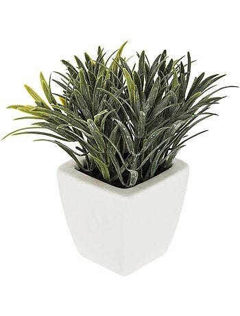 Plante artificielle succulente en pot de céramique