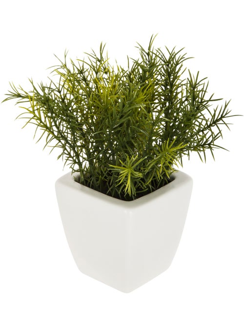 Plante artificielle NAOKO - Kiabi