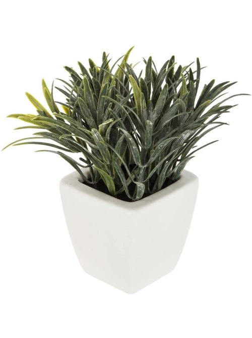 Plante artificielle NAOKO - Kiabi