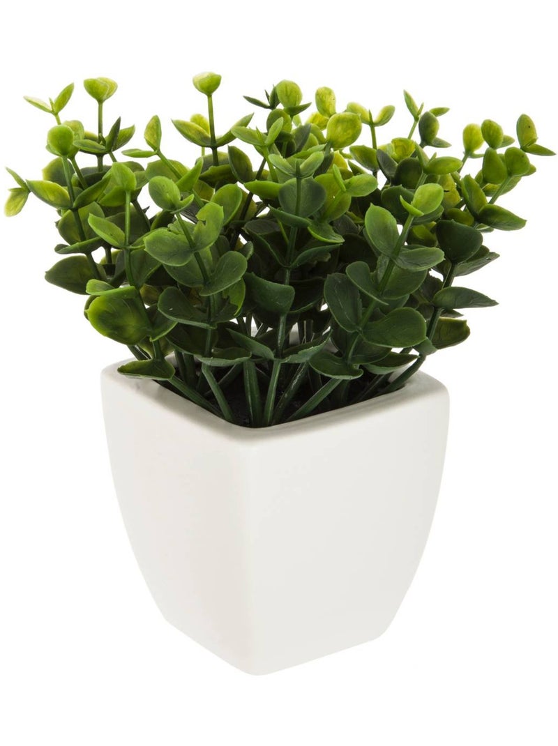 Plante artificielle NAOKO Noir - Kiabi