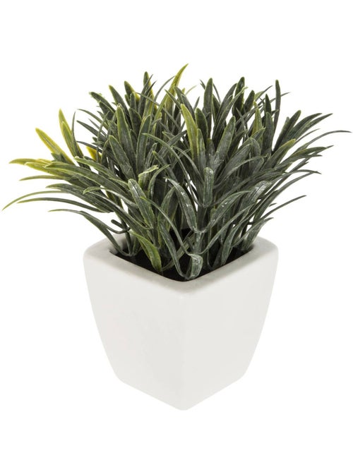 Plante artificielle NAOKO - Kiabi