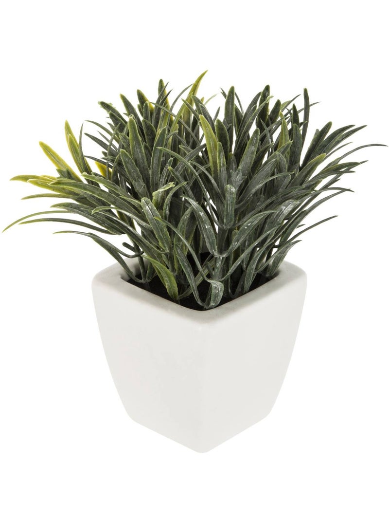 Plante artificielle NAOKO Noir - Kiabi