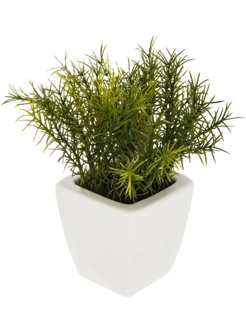 Plante artificielle NAOKO - Kiabi