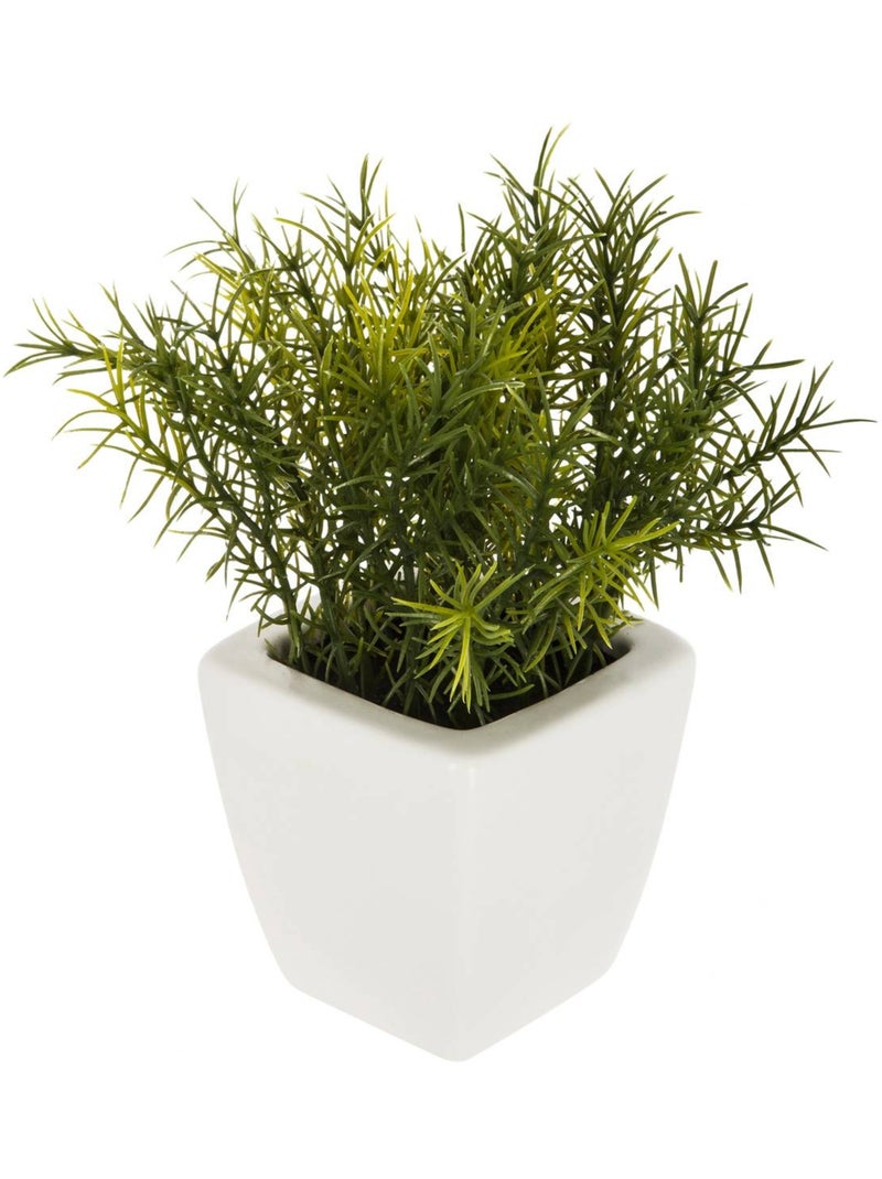 Plante artificielle NAOKO Noir - Kiabi