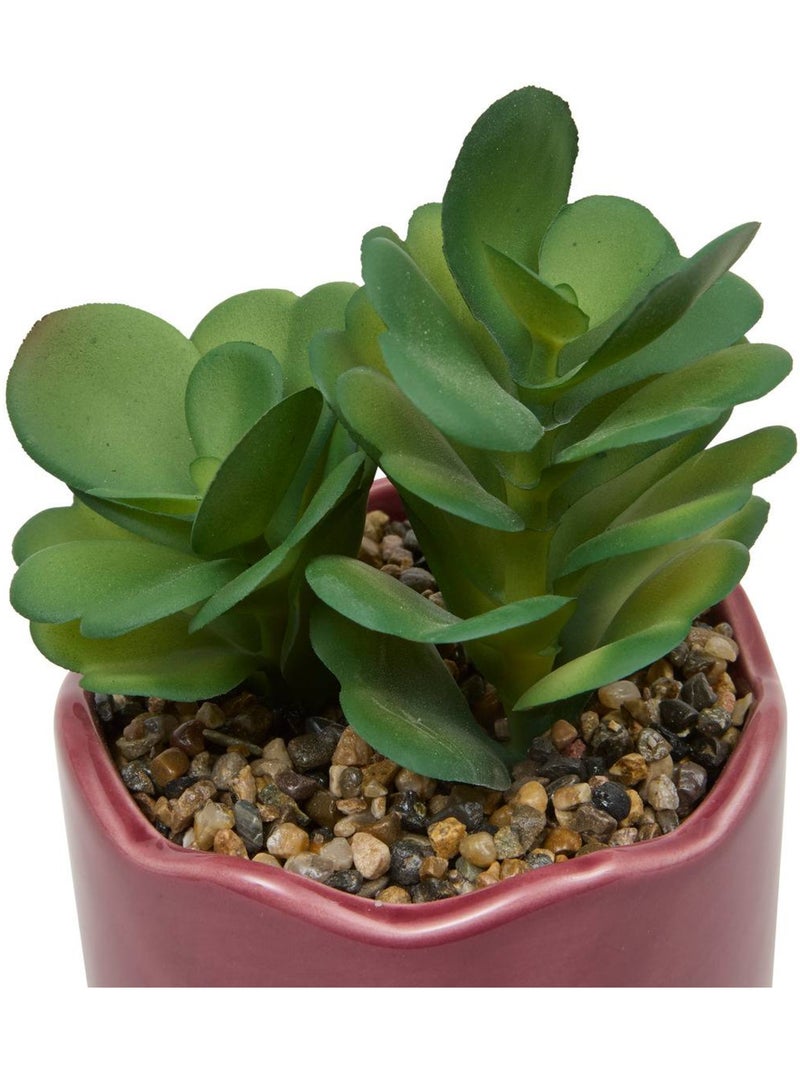Plante artificielle petit format en pot céramique Rose - Kiabi