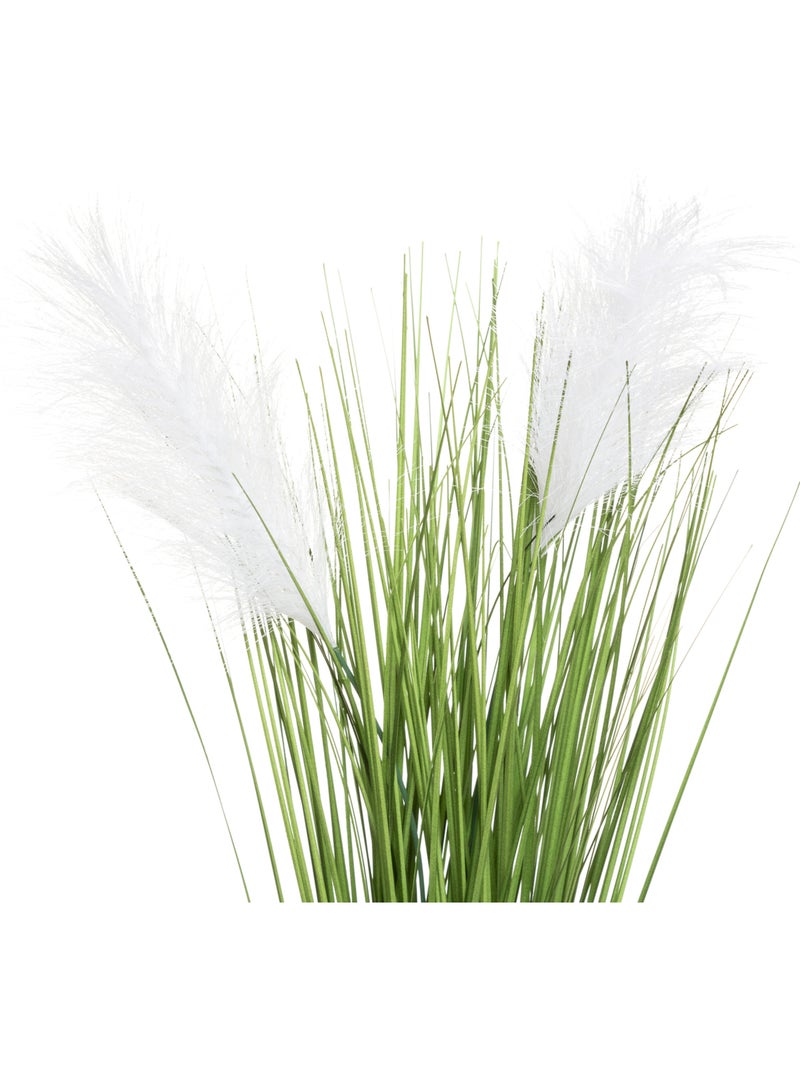 Plante artificielle PLUMEAU Beige - Kiabi