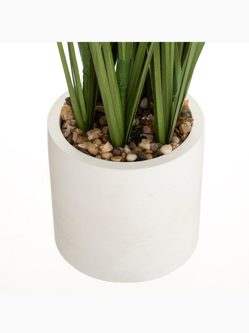 Plante artificielle PLUMEAU Beige - Kiabi