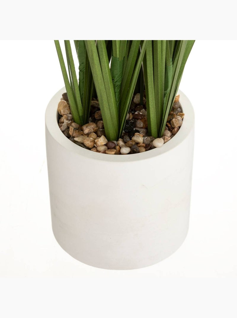 Plante artificielle PLUMEAU Blanc - Kiabi