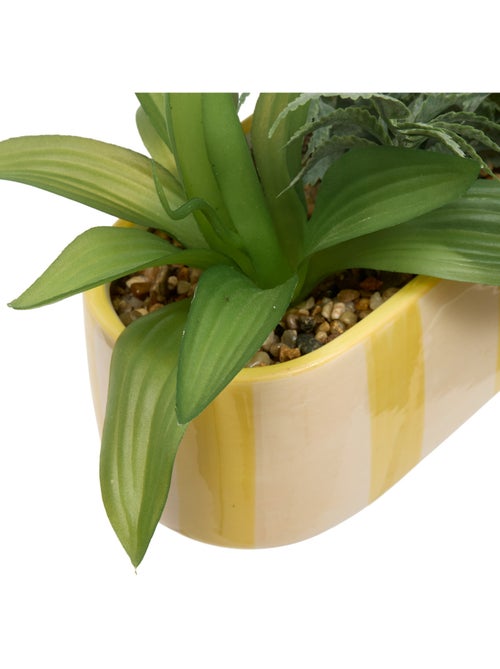 Plante artificielle POOL - Kiabi