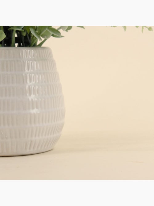 Plante artificielle pot céramique 26cm - Kiabi Plante artificielle pot céramique 26cm - Kiabi