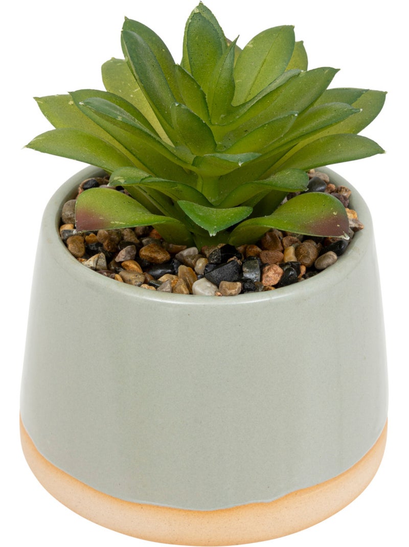 Plante artificielle, pot céramique BE VINTAGE Noir - Kiabi