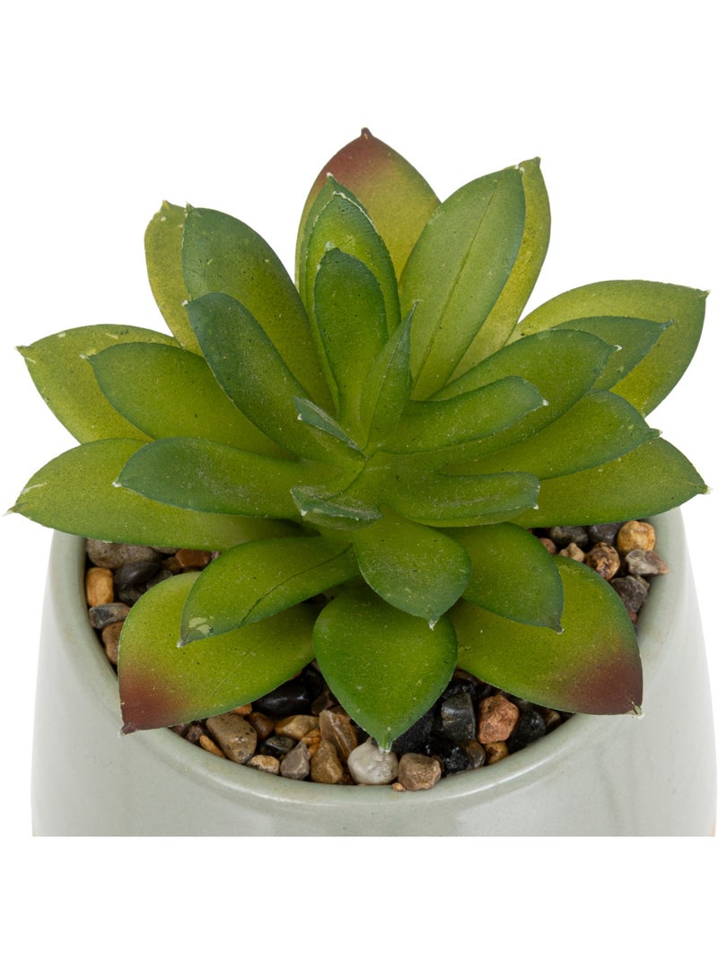 Plante artificielle, pot céramique BE VINTAGE Noir - Kiabi
