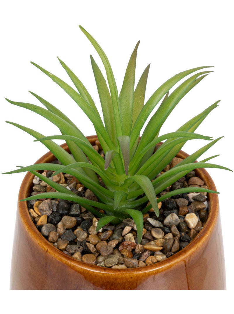 Plante artificielle, pot céramique BE VINTAGE Noir - Kiabi