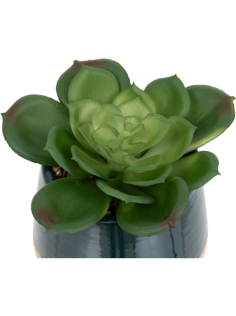 Plante artificielle, pot céramique BE VINTAGE Noir - Kiabi
