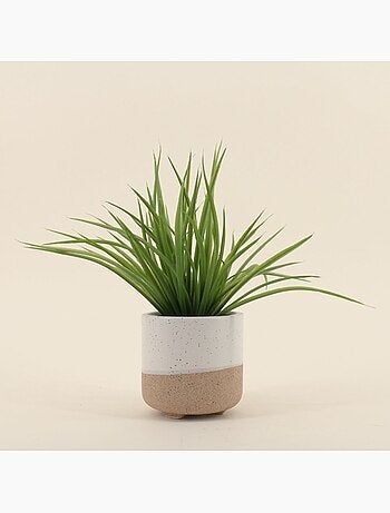 Plante artificielle pot céramique bicolore 26cm