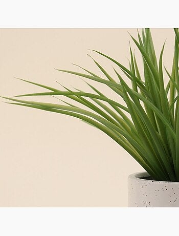 Plante artificielle pot céramique bicolore 26cm