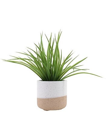 Plante artificielle pot céramique bicolore 26cm